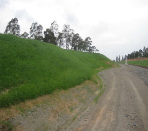 Hydraulically Applied Growth Mediums short-term growth