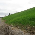 hydromulch tips & advice header image