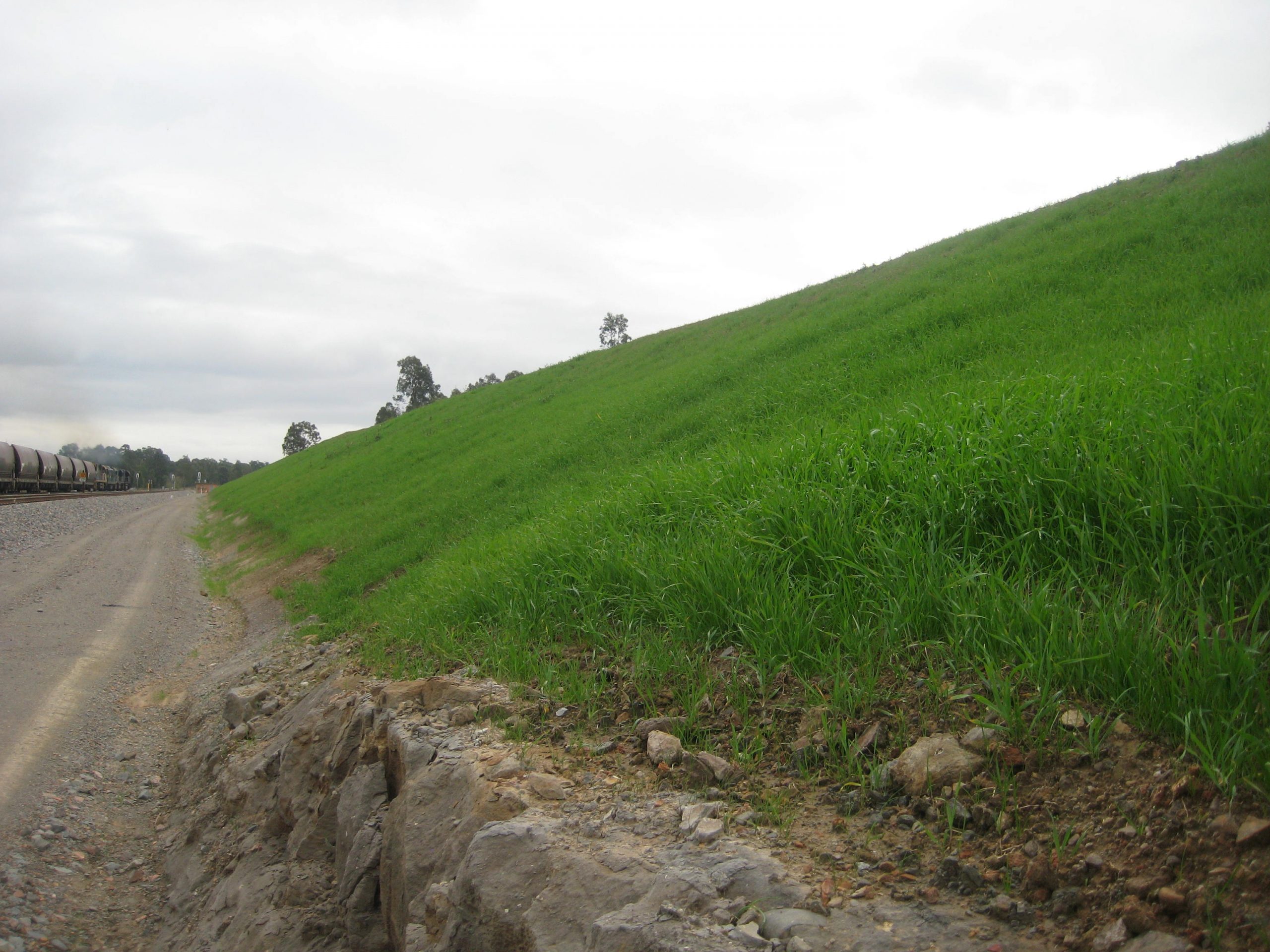 hydromulch tips & advice header image