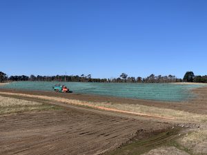 ameliorated application